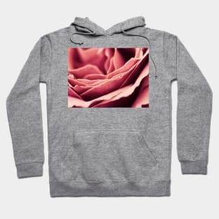 Layers and Layers of Goodness Hoodie